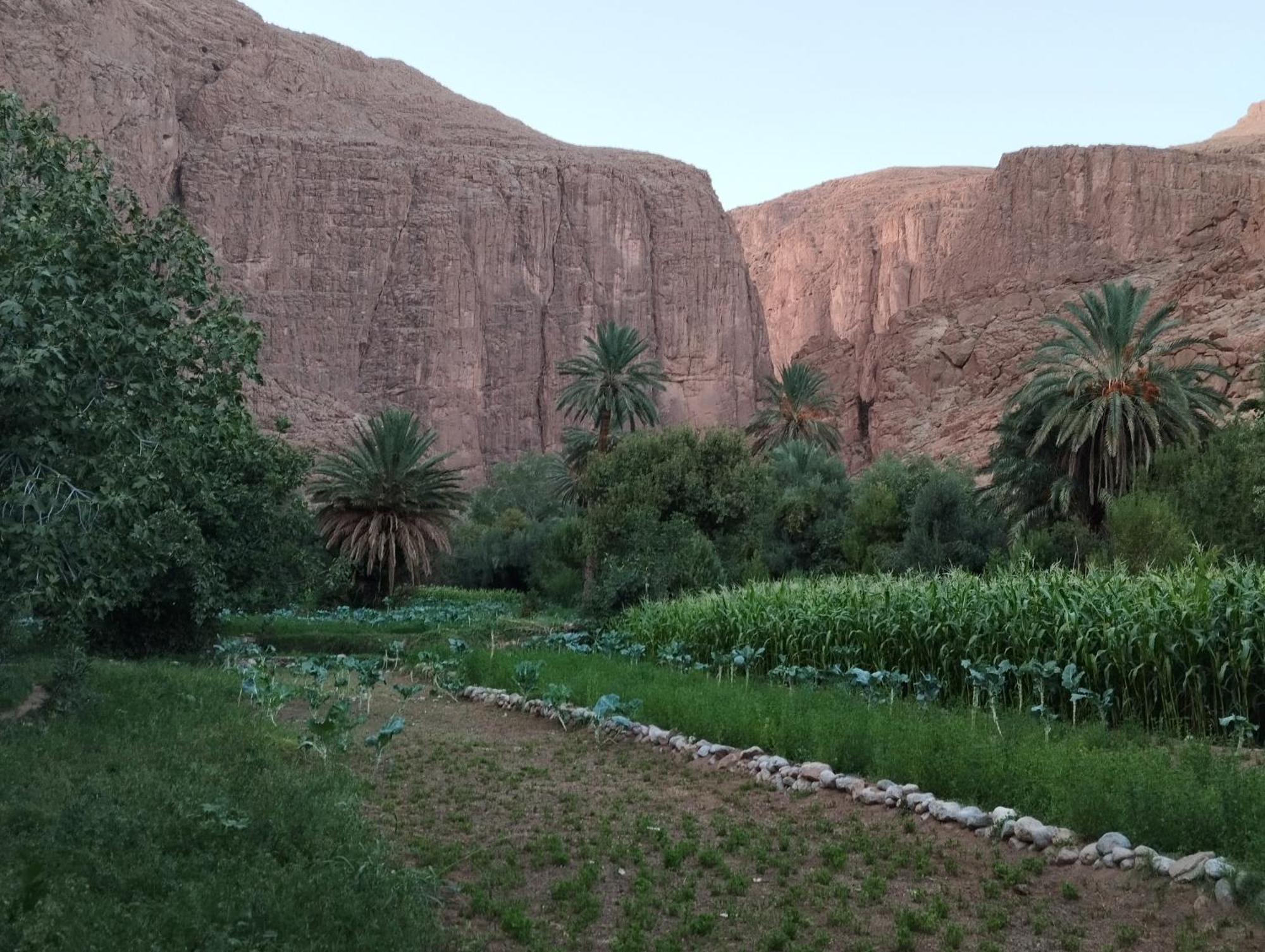 Riad La Fleur Aït Baha Exterior foto
